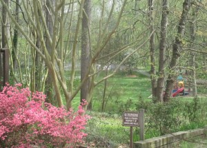 Woodland Hills Park Winston-Salem, NC