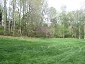 Woodland Hills Park Open Field