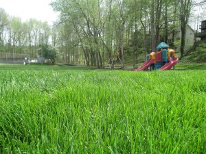 Woodland Hills Private Park Playground