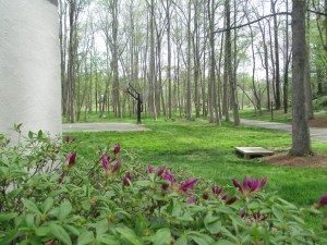 Path Near Basketball Court